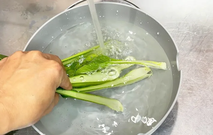 『小松菜を洗う』写真（撮影：キジカク）