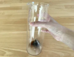 麦茶パックの写真（撮影：grapeライフハック編集部）