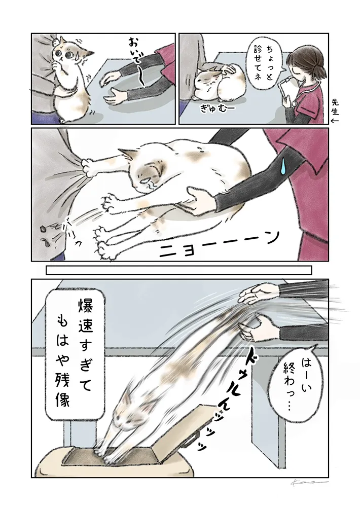 kaoruさんの漫画の画像