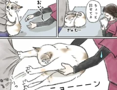 kaoruさんの漫画の画像