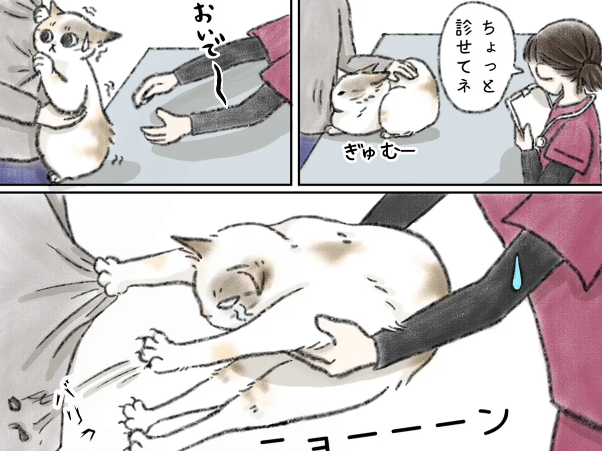 kaoruさんの漫画の画像