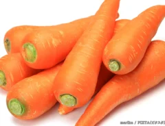 ニンジンの写真