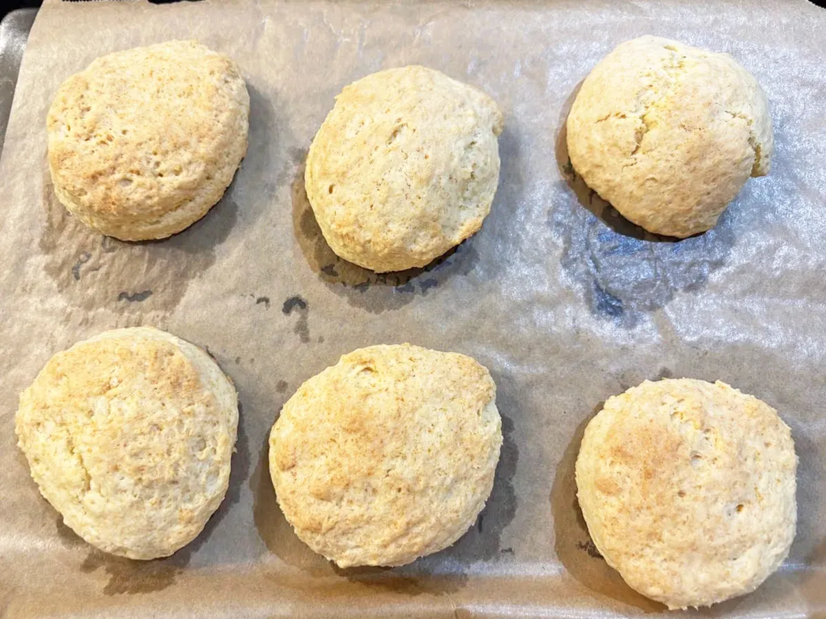 スコーンの焼きあがり画像（撮影：エニママ）