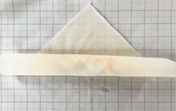 『ピーマン入り春巻き』を作る写真（撮影：エニママ）