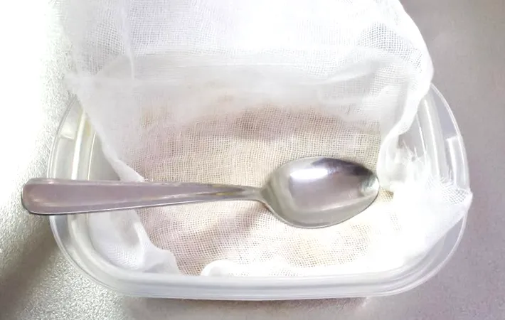 『珍味 卵黄のみそ漬け』を作る写真（撮影：キジカク）