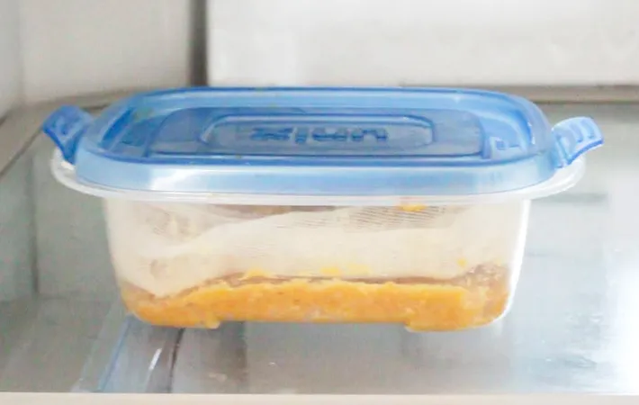 『珍味 卵黄のみそ漬け』を作る写真（撮影：キジカク）