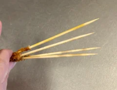 竹串の画像（撮影：grapeライフハック編集部）