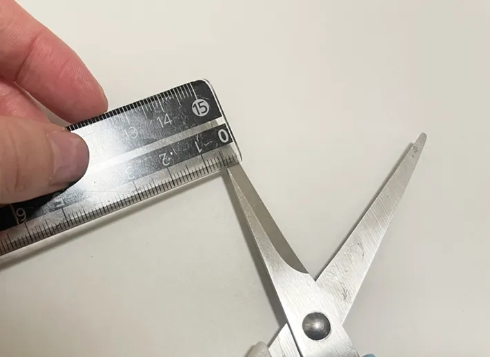 ハサミの歯の長さを定規で測る写真（撮影：grapeライフハック編集部）