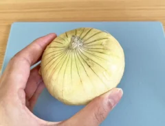 新タマネギの写真（撮影：grapeフード編集部）