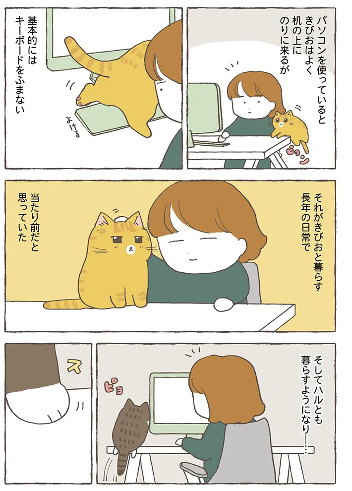とみた黍さんの漫画の画像