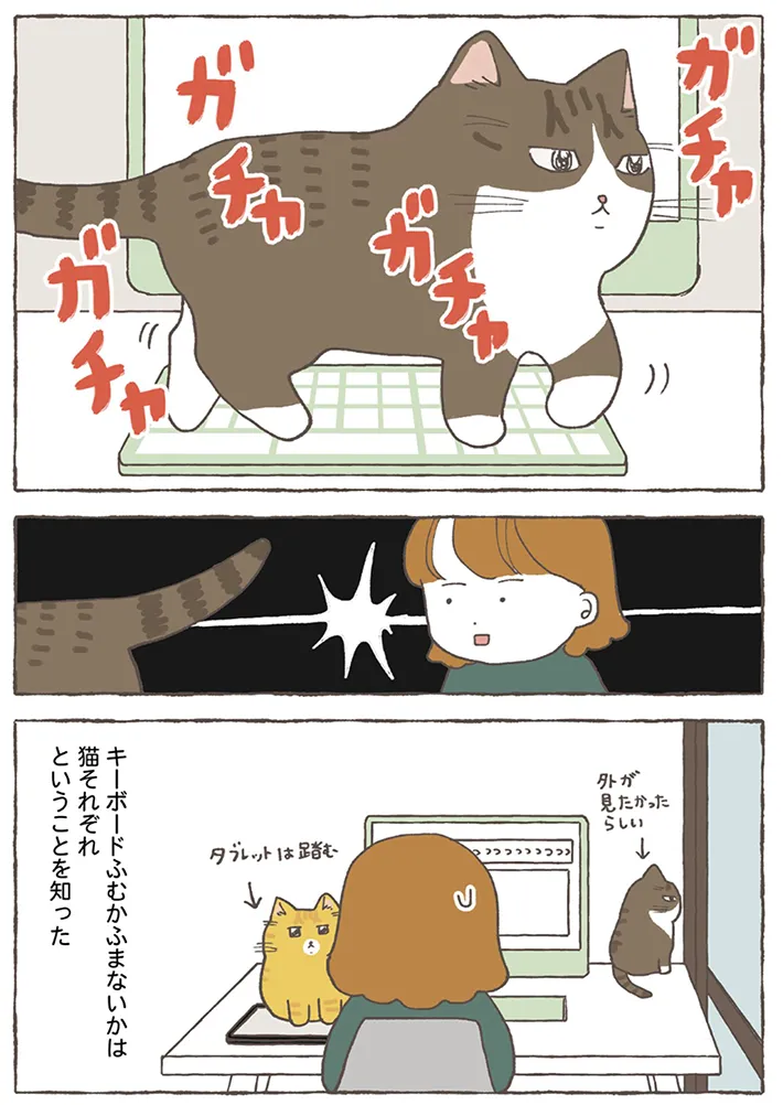 とみた黍さんの漫画の画像