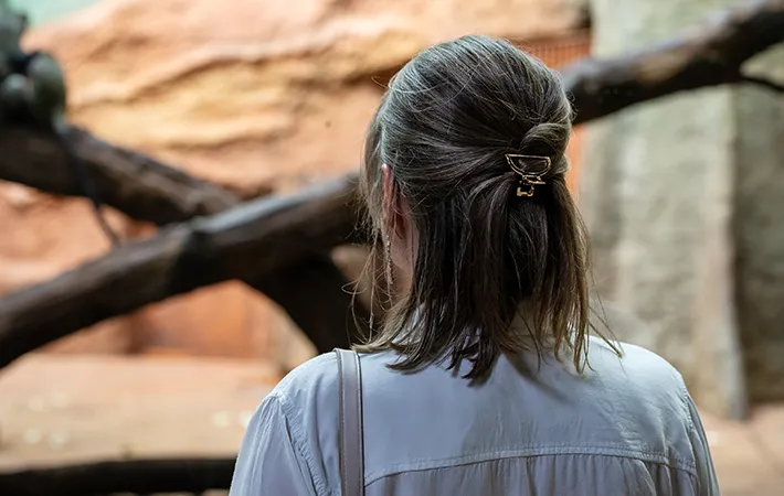 サル山を見る迷いを抱える女性の写真