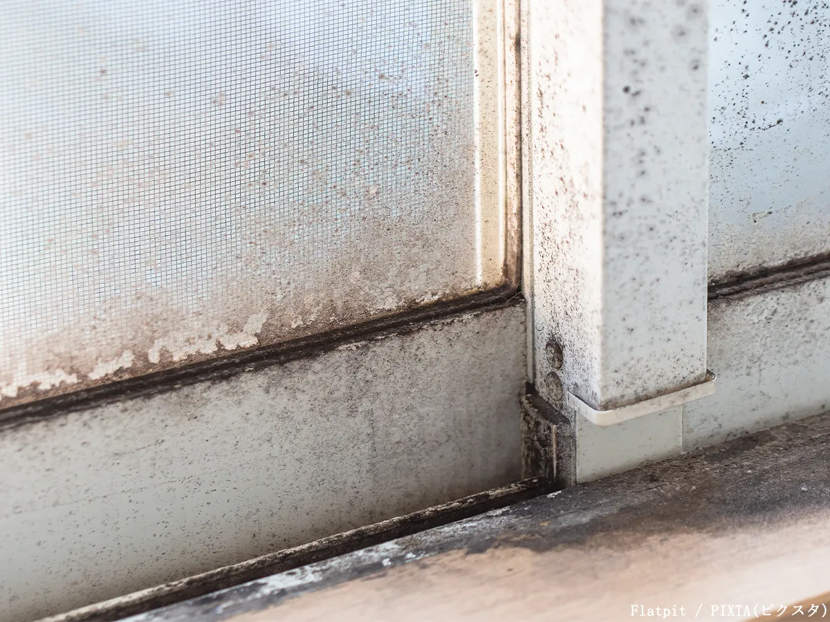 結露によってカビが生えた窓の写真
