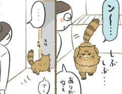 ふじもりはるさんの漫画の画像