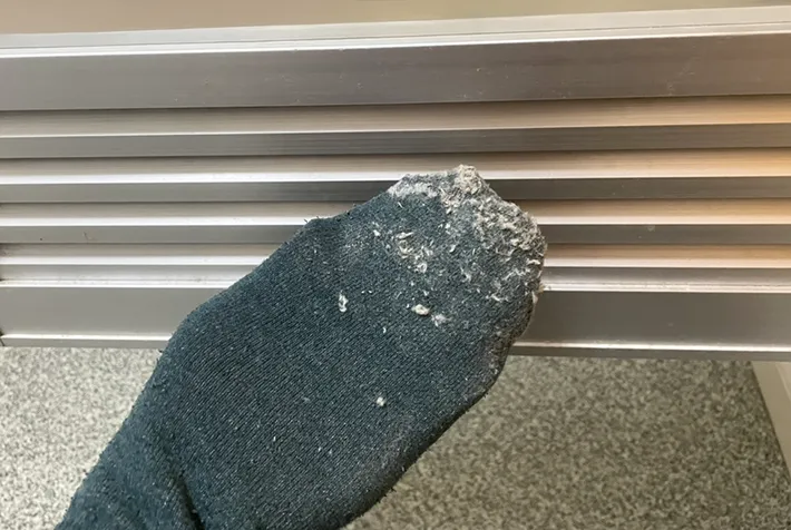靴下についたホコリの写真（撮影：grapeライフハック編集部）