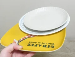 重ねた皿の写真（撮影：grapeライフハック編集部）
