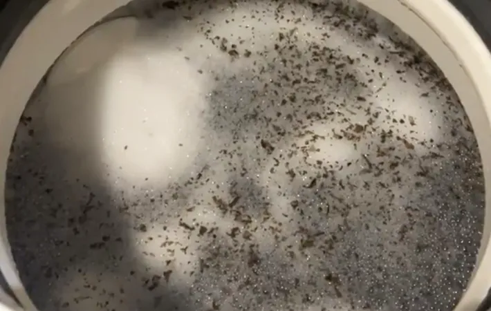 『洗濯槽の汚れ』の写真（撮影：Heulie）