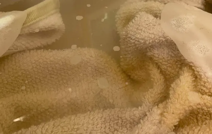 『つけ置き洗いしたタオル』の写真（撮影：Heulie）