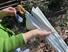 「開いた瞬間涼しい！」「雨も怖くない」　春から気になる『紫外線対策』は「これ1本あればいい」のでラクちん