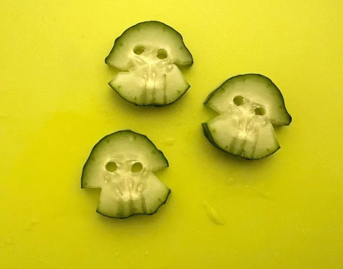 完成したキュウリドクロ