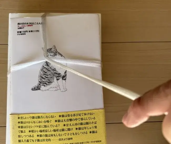 クロス部分を固定した様子（撮影：grapeライフハック編集部）