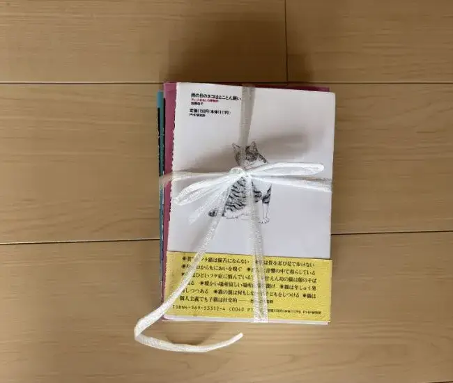 ちょうちょ結びをした様子（撮影：grapeライフハック編集部）