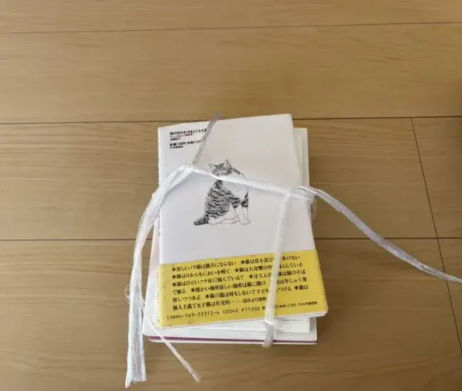 ほどけた状態（撮影：grapeライフハック編集部）