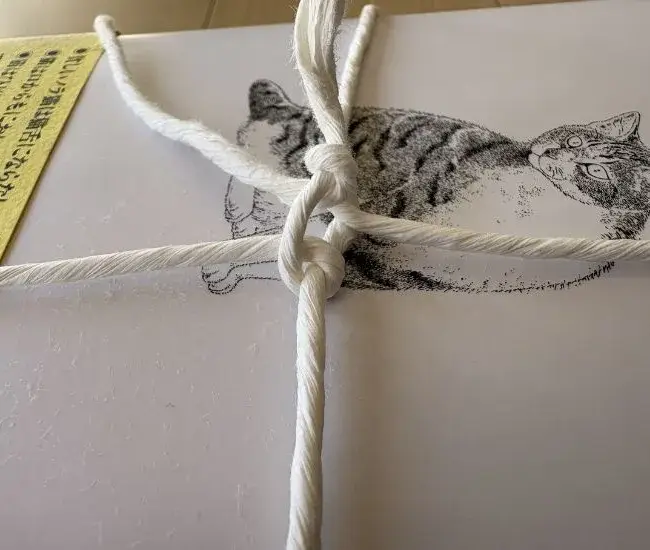 紙ひもの結び目（撮影：grapeライフハック編集部）