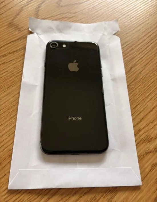 iPhoneを入れた様子（撮影：grapeライフハック編集部）