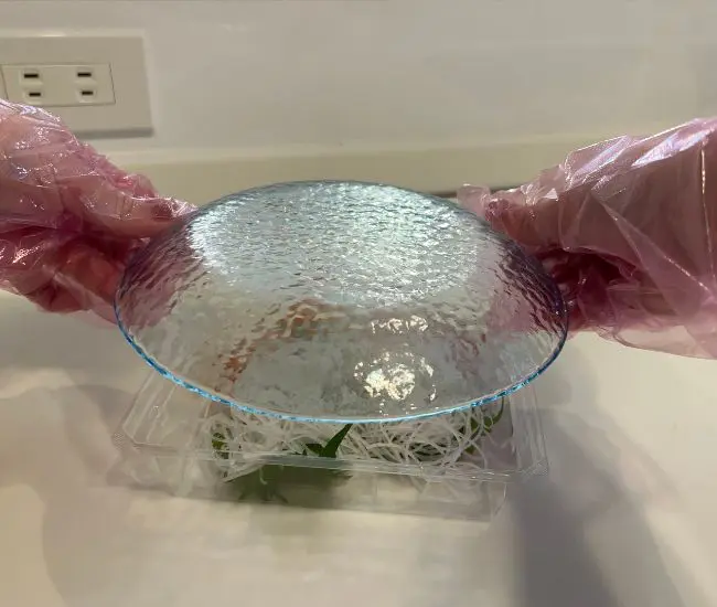 お皿をかぶせた様子（撮影：grapeフード編集部）