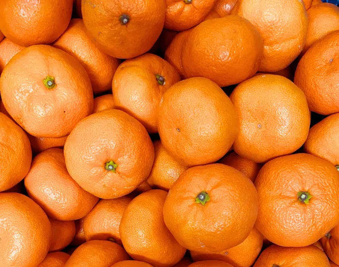 大量のミカン