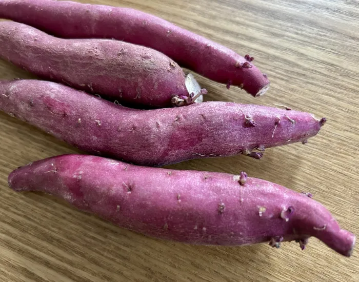 芽が出たサツマイモ