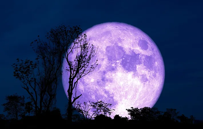 ワームムーン以外の満月の呼び名を紹介！