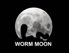 【2026年】3月3日の満月は『ワームムーン』 名前の意味やスピリチュアルな願い事などをチェック!