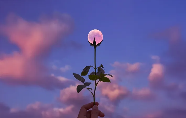 ピンクムーンのスピリチュアルな意味やキーワードとは？