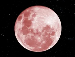 2026年のピンクムーンはいつ？何時に見える？由来やスピリチュアルな意味まで解説！