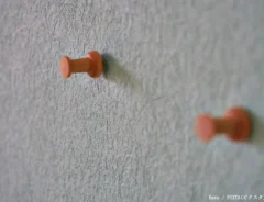 壁に画びょうを刺している写真