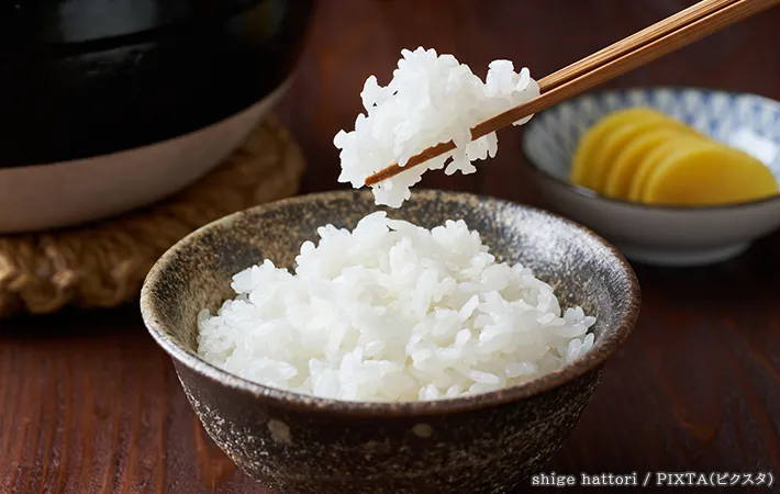 ご飯の写真