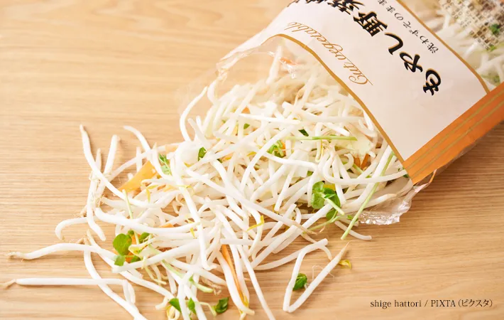 『袋に入ったもやし』の写真