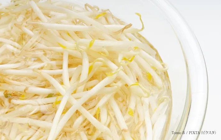 『水にさらしたもやし』の写真