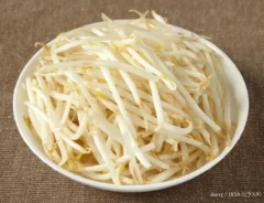 『緑豆もやし』の写真