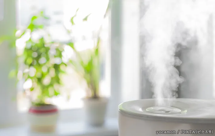 加湿器の写真