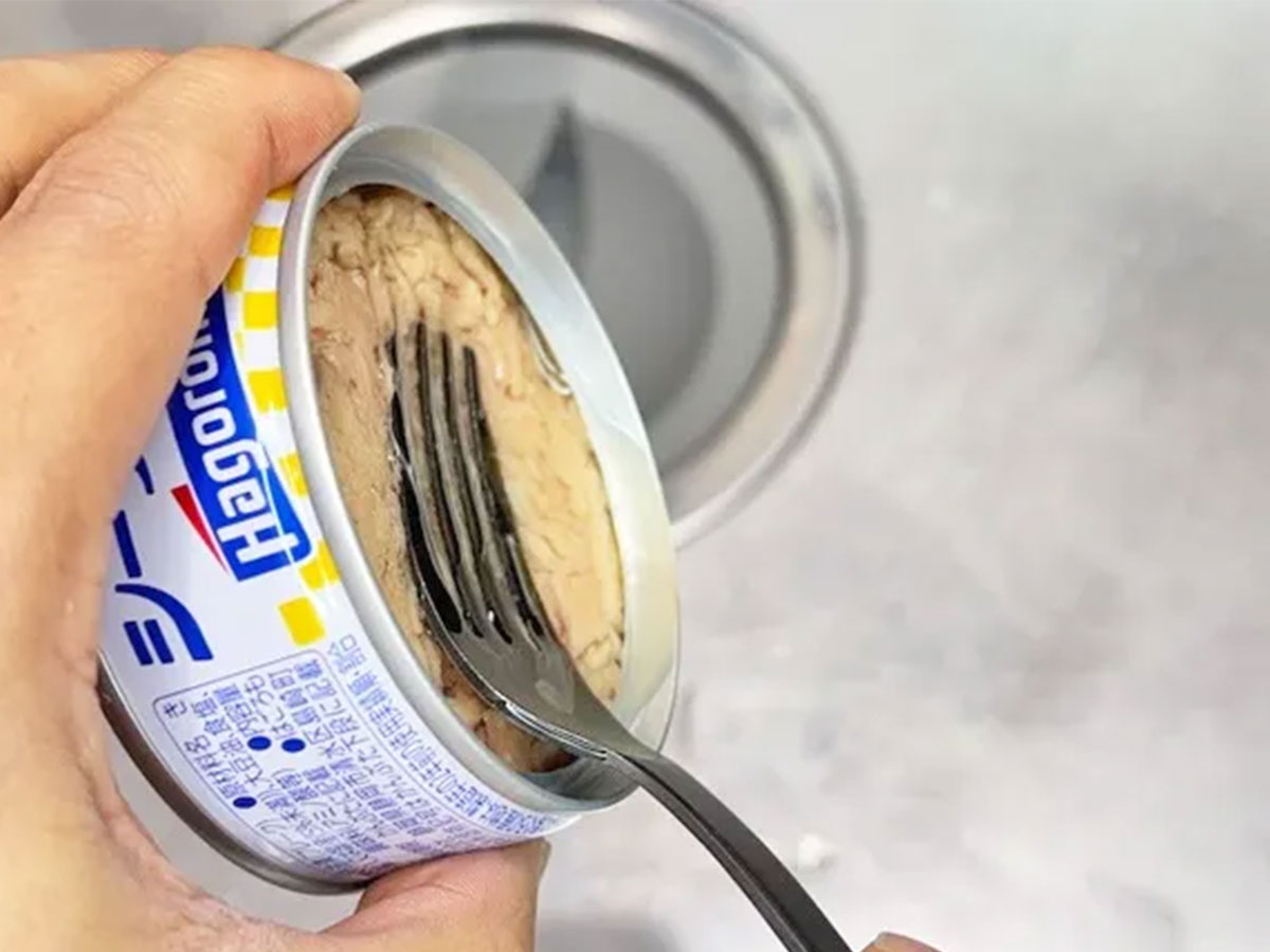 『明太ツナボナーラ』の写真（撮影：キジカク）