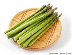 アスパラガスの写真