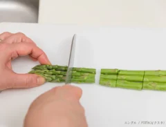 アスパラガスの写真