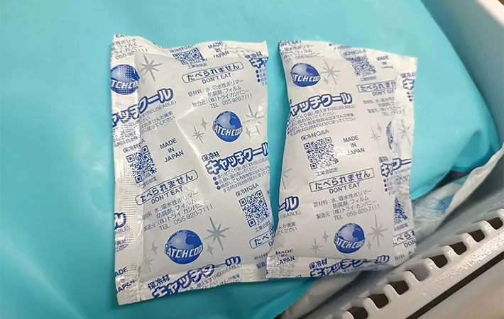 保冷剤の写真（撮影：DCP）