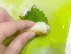 大葉を巻いた画像（撮影：エニママ）
