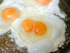 2黄卵の写真（撮影：デジタル・コンテンツ・パブリッシング）