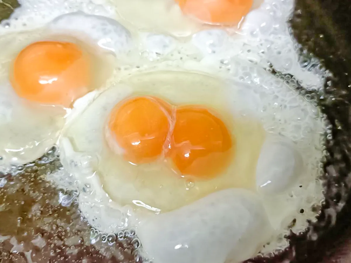 2黄卵の写真（撮影：デジタル・コンテンツ・パブリッシング）