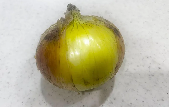 新玉ねぎの画像（撮影：エニママ）